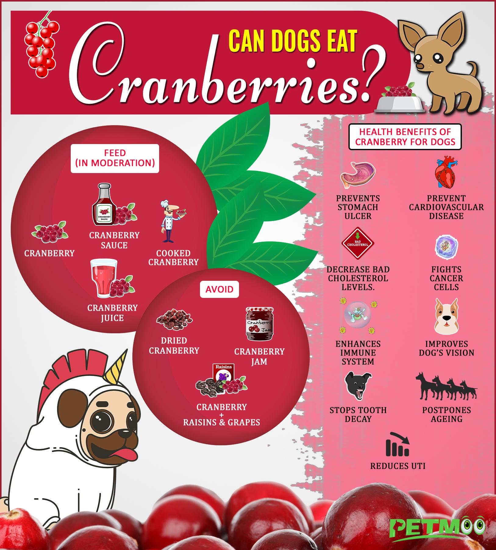 can dogs eat cranberries for uti