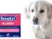 Benadryl For Dogs