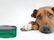 Can Dogs Eat Canned Tuna