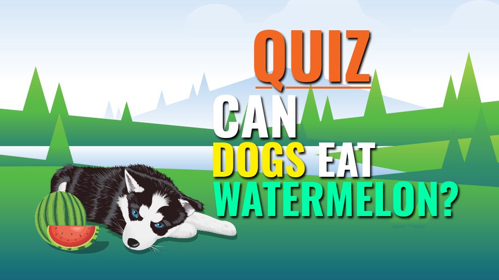 can dogs eat watermelon white seeds