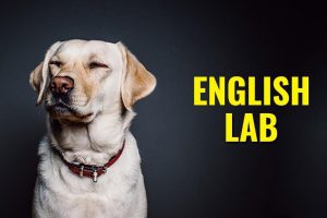 English Lab