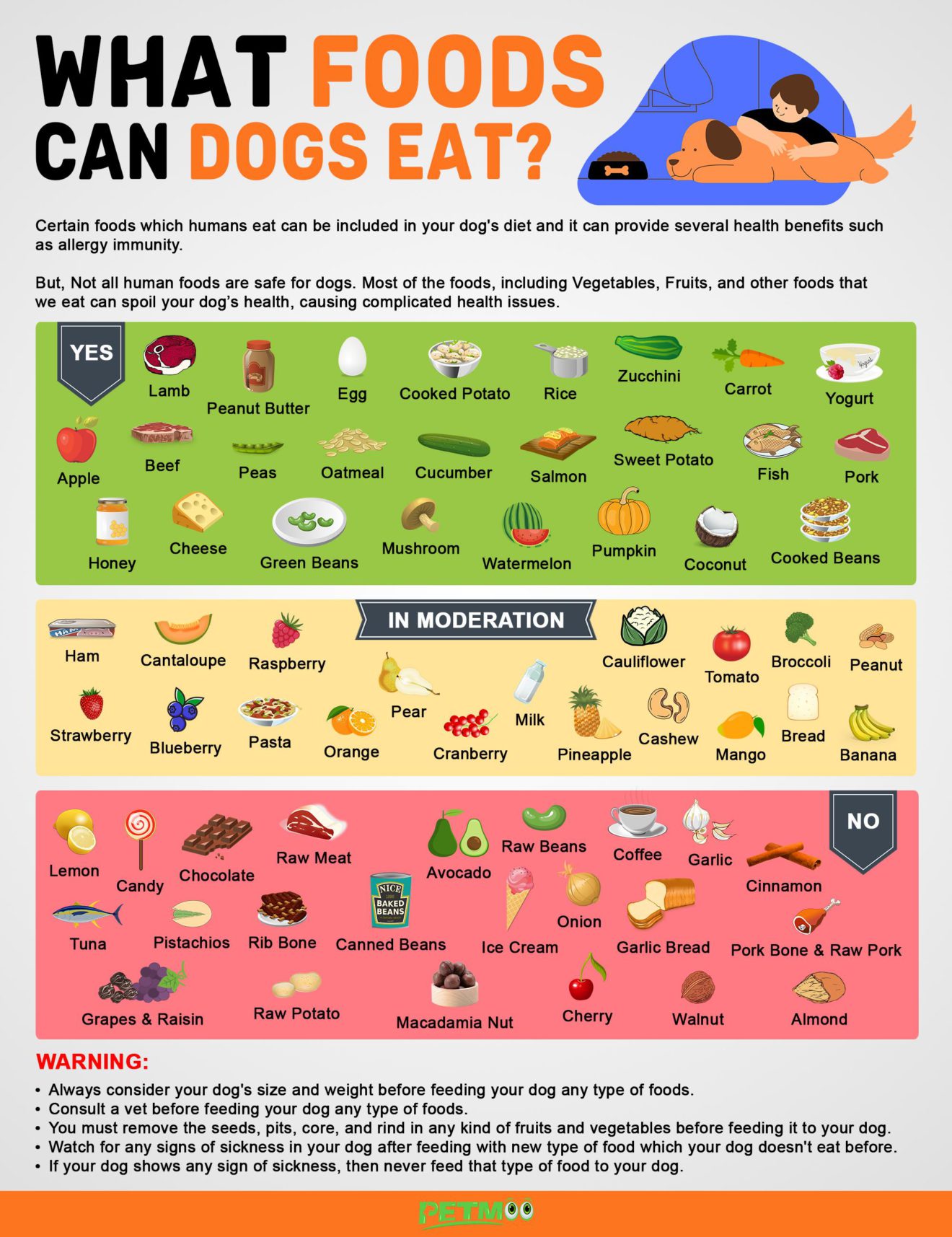 What Foods Can Dogs Eat? 43 Safe People Food - Petmoo 