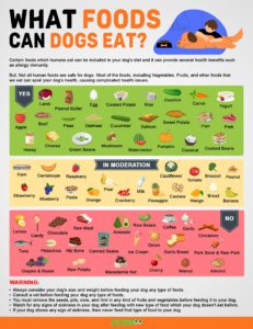 What Foods Can Dogs Eat? 43 Safe People Food - Petmoo