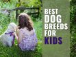 Best Dog Breeds For kids