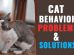 Cat Behavior Problems & Solutions