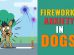 Fireworks Anxiety In Dogs