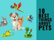 Benefits of pets