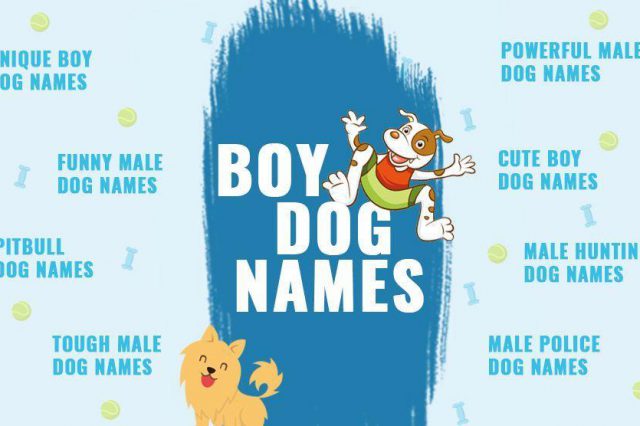 180+ Best Science Dog Names Under All Science Categories - Petmoo