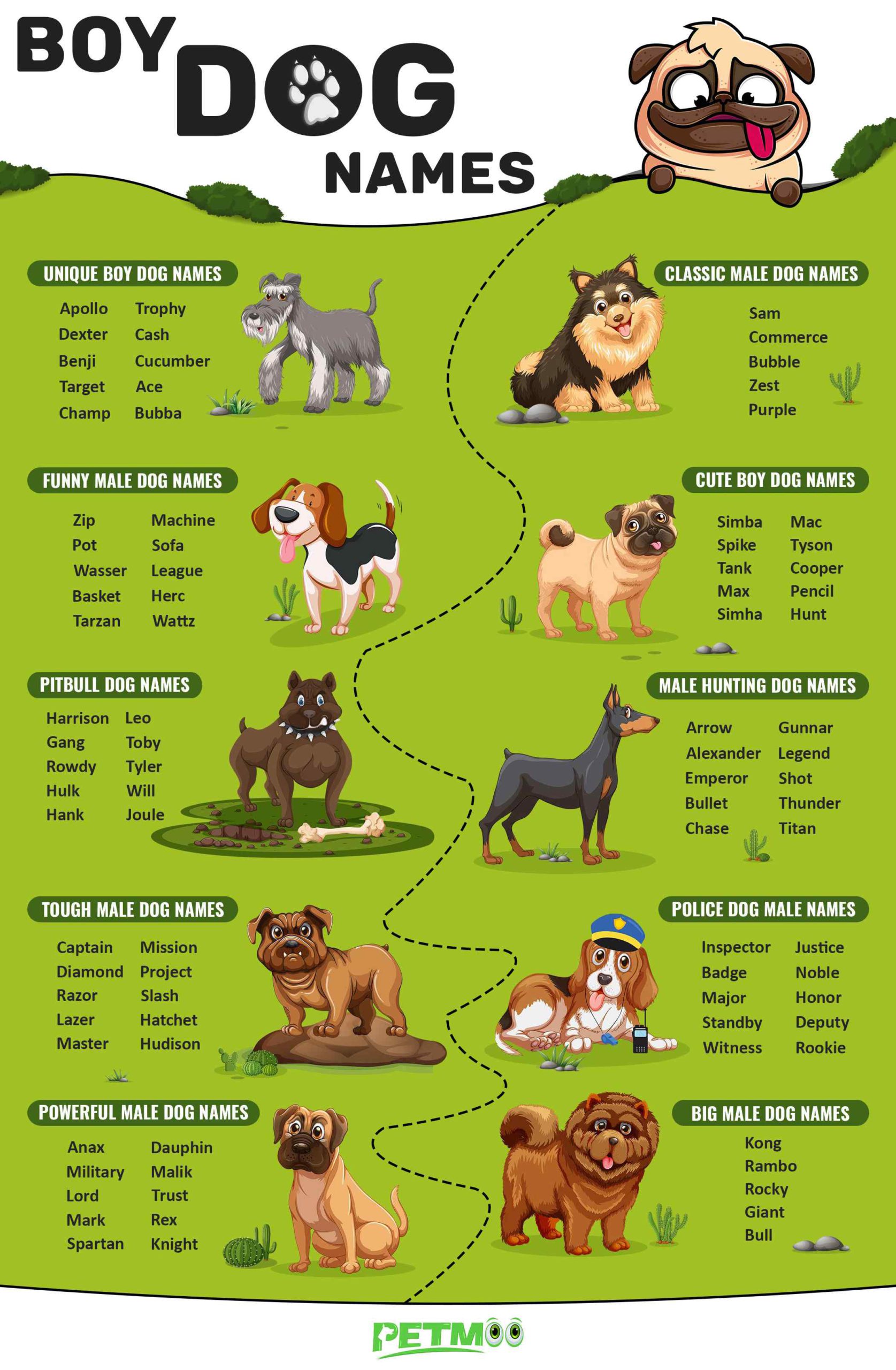 good names for boy dogs