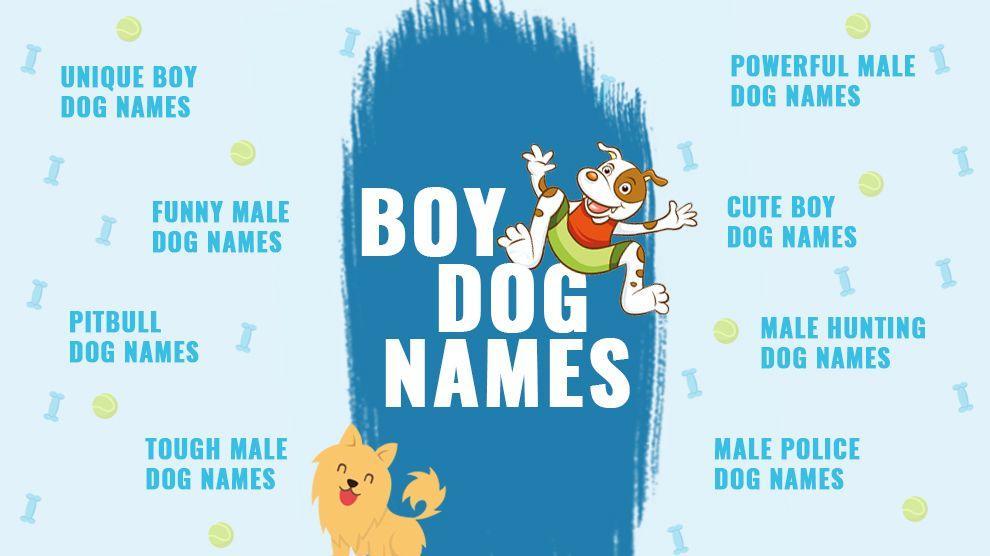 whats a good name for a boy dog