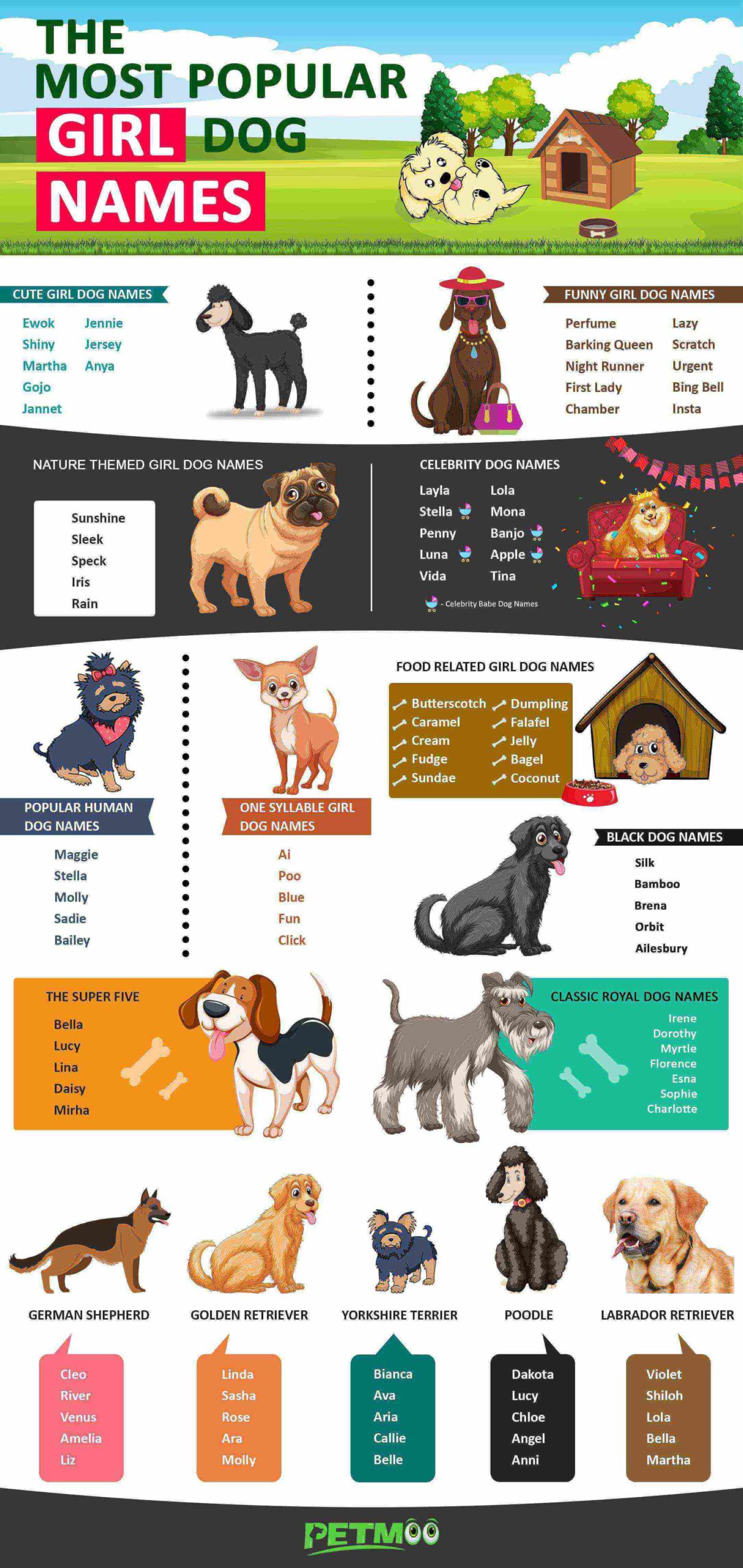 Girl Dog Names - Top Female Dog Names Of 2024 Backed With Vibrant ...