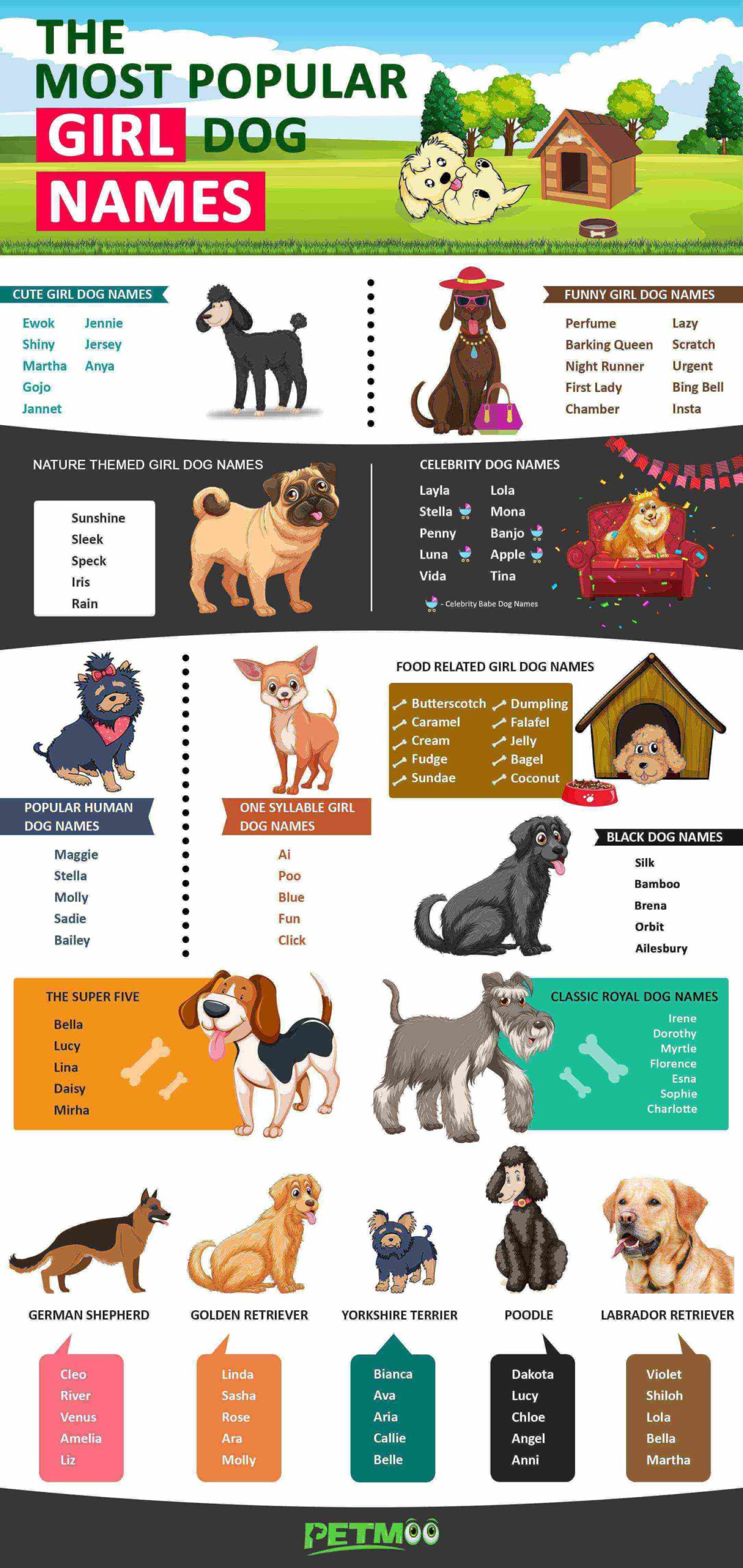 500 Female Dog Names For Your Pretty Girl Pup Kienitvc ac ke