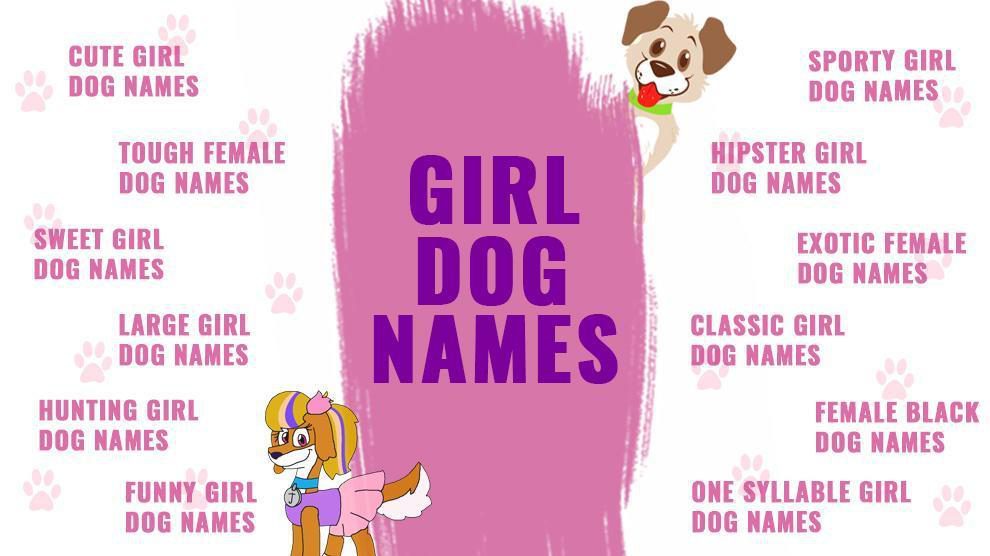Girl Dog Names Top Female Dog Names Of 2023 Backed With Vibrant