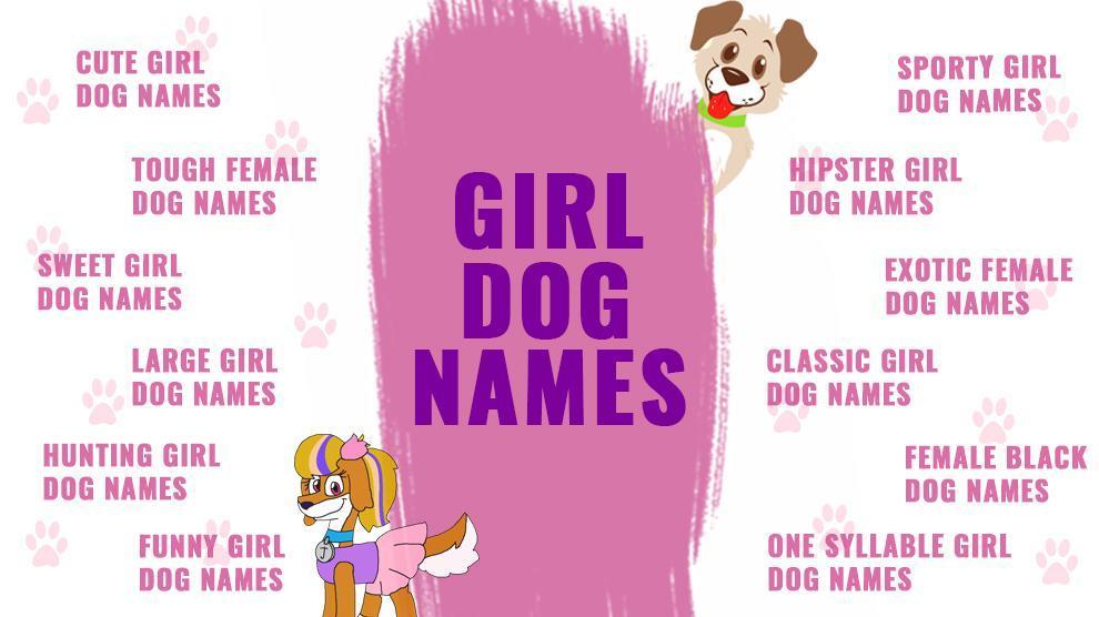 unique names for girl dogs