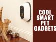 Pet Gadgets