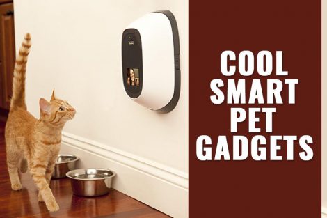 Pet Gadgets