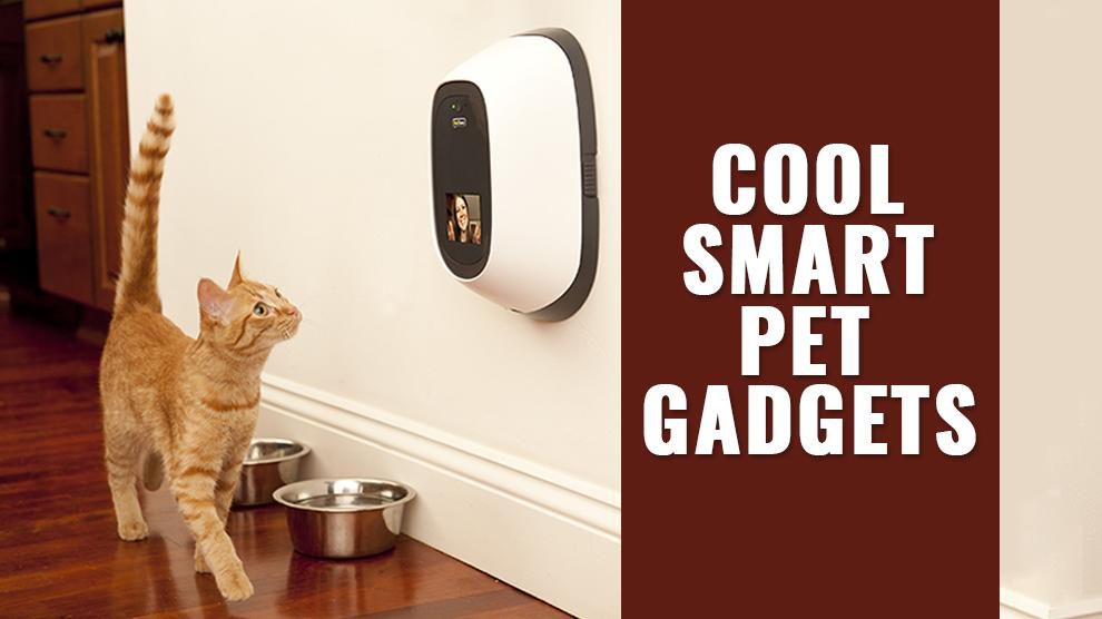 Pet Gadgets
