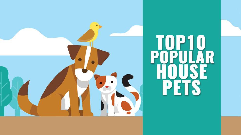 house pets list