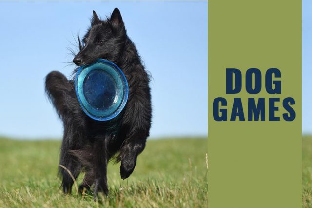 Dog Games