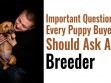 Questions To Ask A Breeder