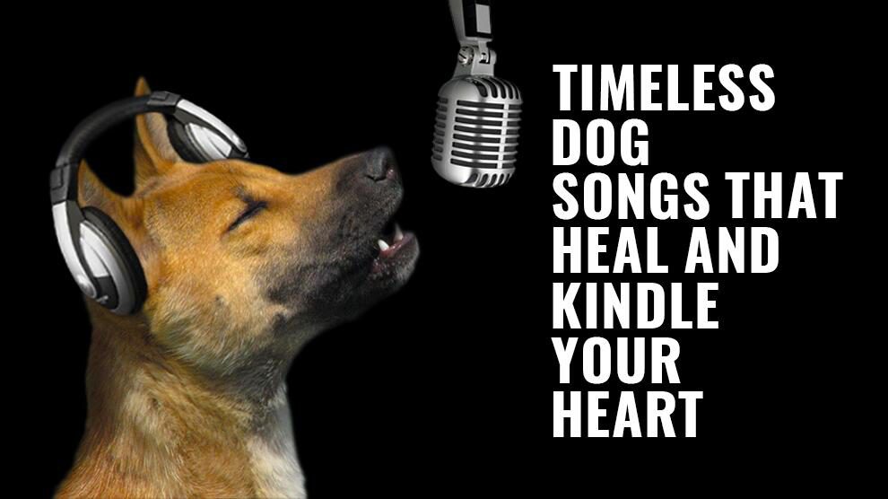 21 Timeless Dog Songs That’ll Heal And Kindle Your Heart With Lyrics