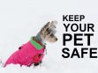 Winter Pet Safety Tips