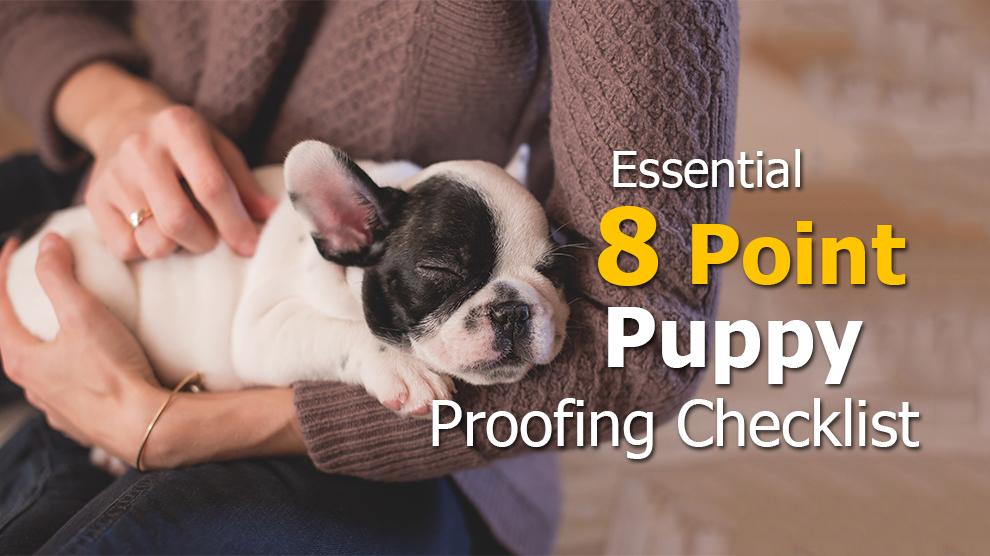 10 Point Checklist for Puppy Proofing Your Home