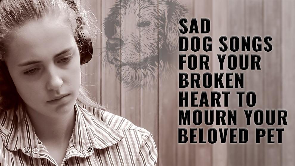 Sad Dog Bark Desperado Lyrics