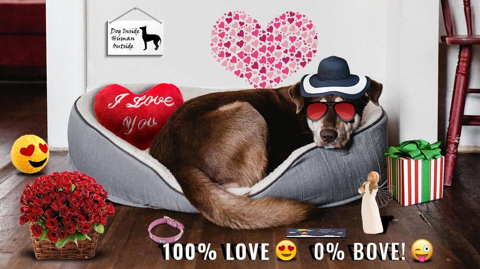 Valentine Gifts For Dogs