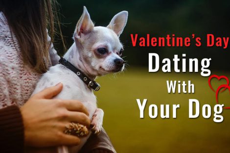 Valentine’s Day Date With Your Dog