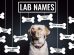 Lab Names