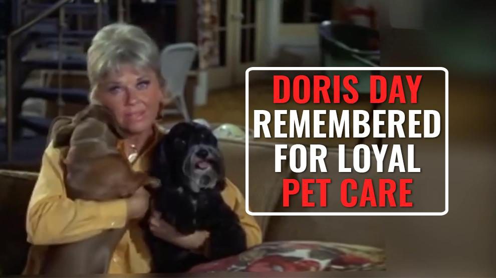 what happened to doris days dogs