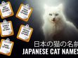 Japanese Cat Names