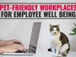 Pet Friendly Workplace