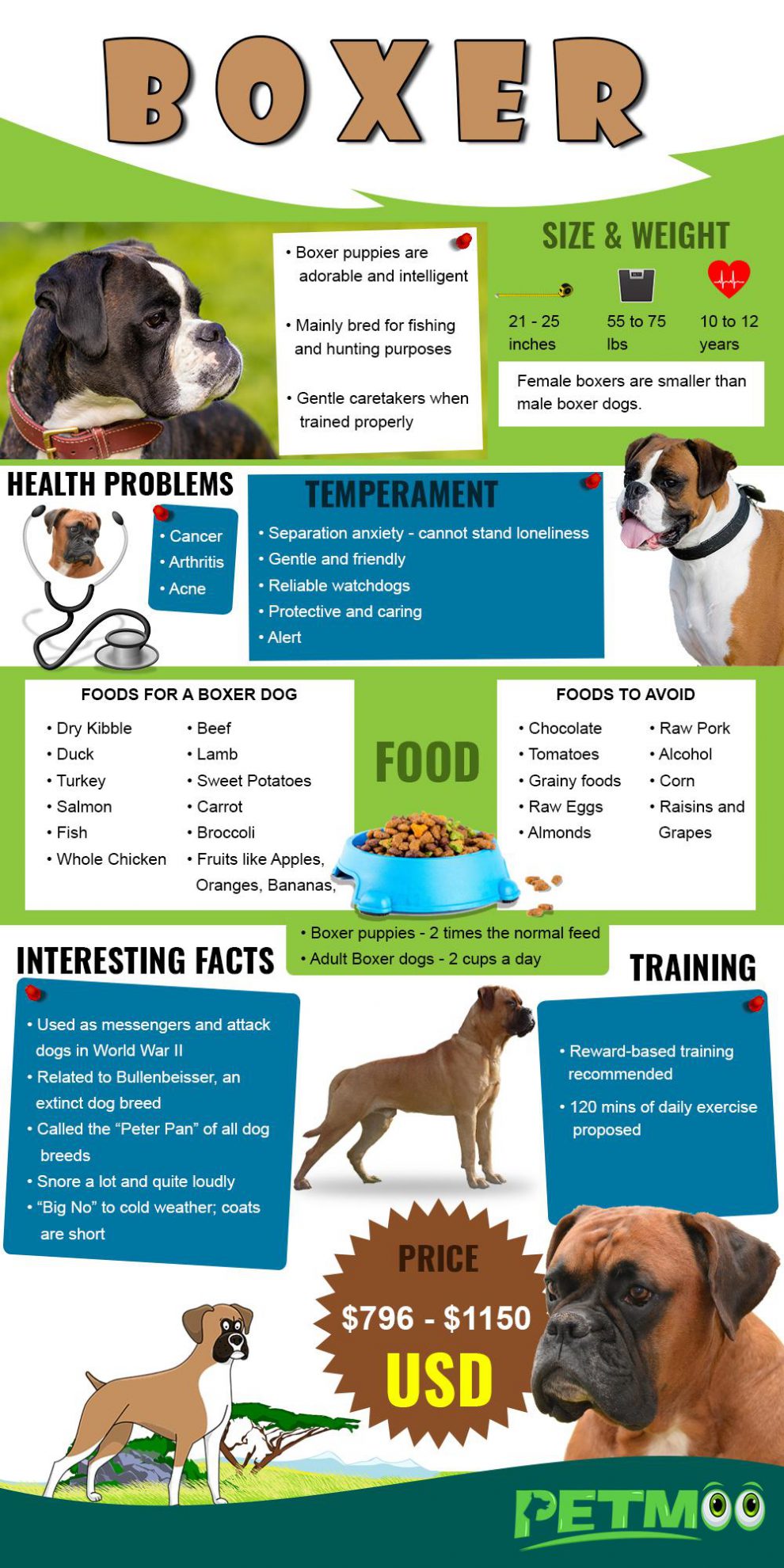 Boxer Puppy Feeding Chart By Weight Age