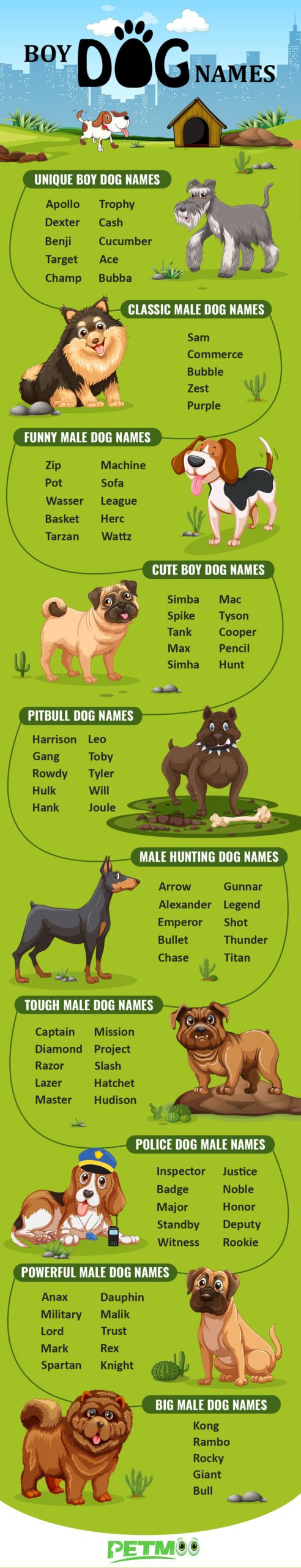 2020 Best Boy Dog Names Backed With Complete Meanings Petmoo