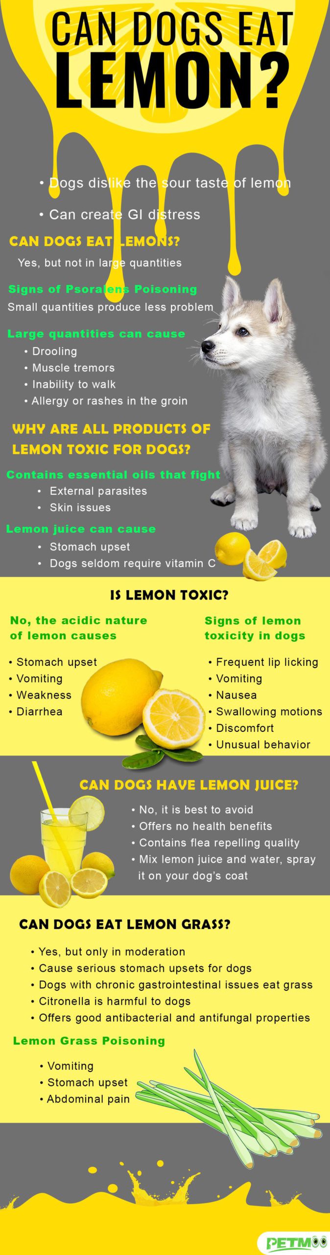 lemon oil and dogs
