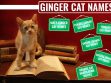 Ginger Cat Names