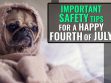 Important Safety Tips For A Happy Fourth of July