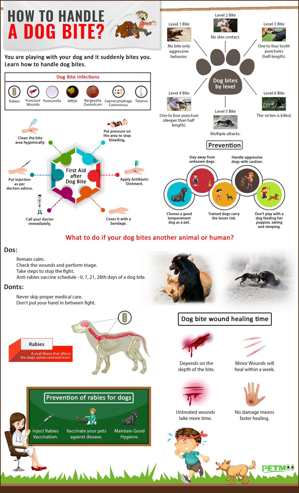 dog-bite-treatment-and-preventing-injuries-petmoo