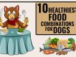 Healthiest Food Combinations For Dogs