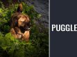 Puggle