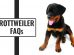 Rottweiler FAQs