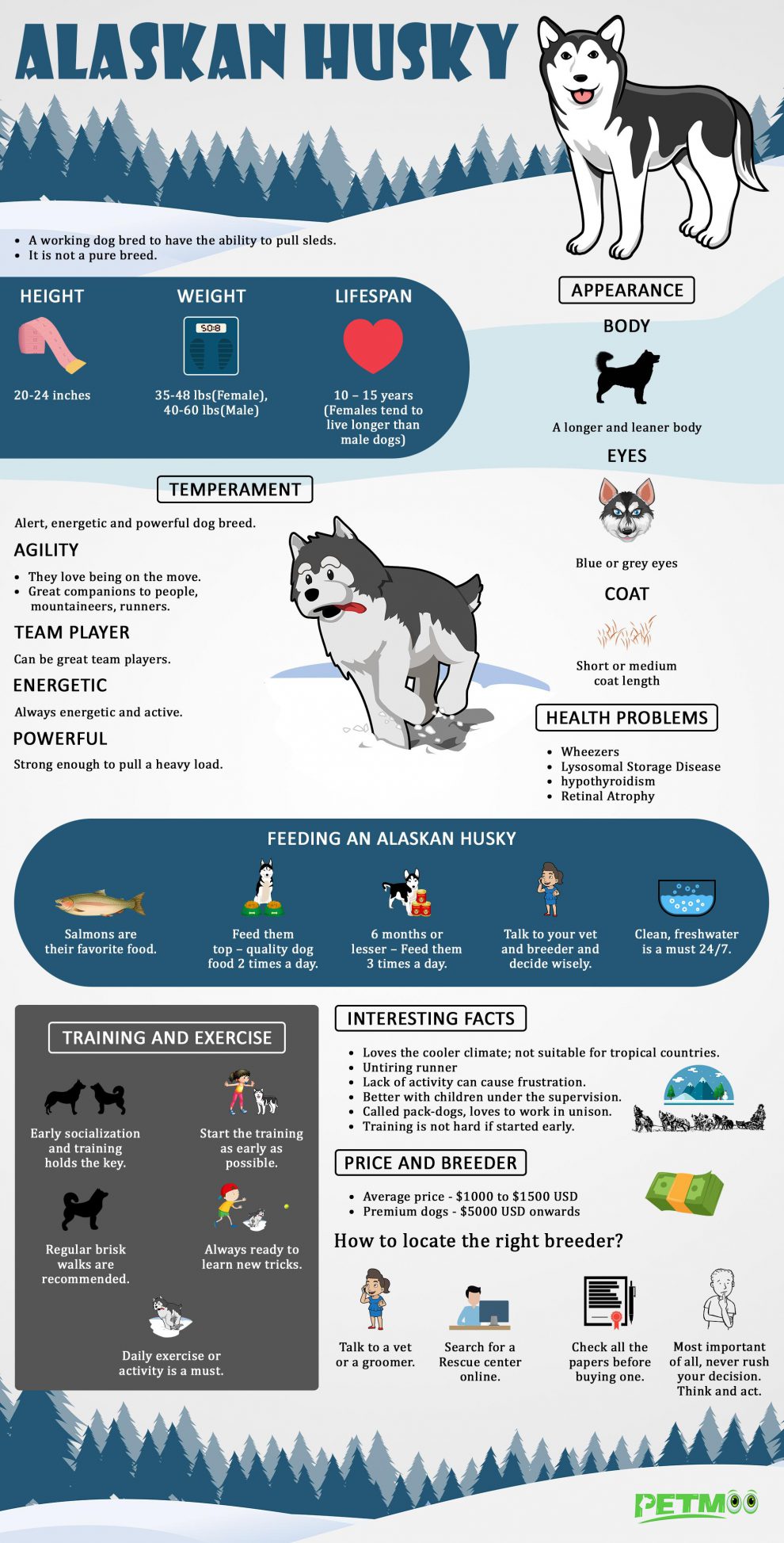 Alaskan Husky - Facts, Training & Health Problems - Petmoo