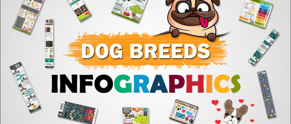 Dog Breeds Infographics