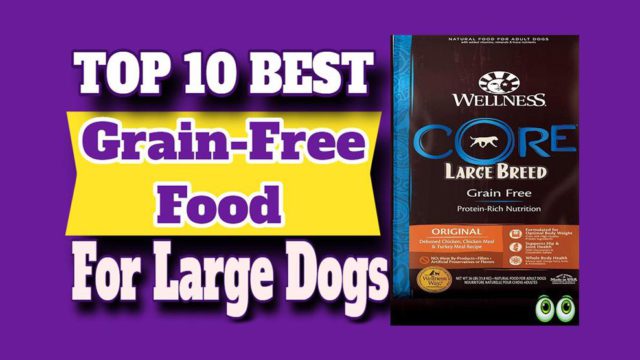 10 Best Grain Free Food For Large Dogs [2023] - Petmoo