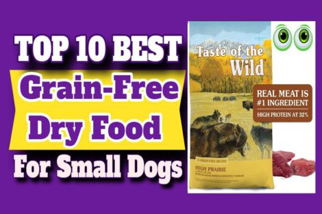 Best Grain-Free Food For Small Dogs