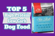 High Protein Low Carb Dog Food