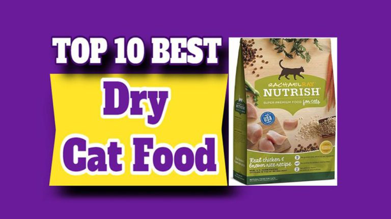 10-best-dry-cat-food-in-2023-petmoo