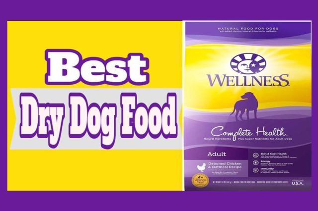 Best Dry Dog Foods